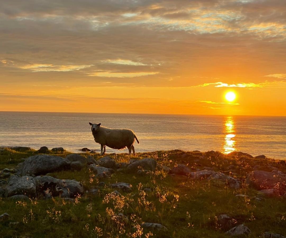 Perfekt Base For Det Meste! Leknes Buitenkant foto